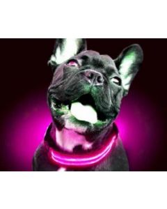 FREEDOG COLLAR LED XS ROSA DOS PILAS