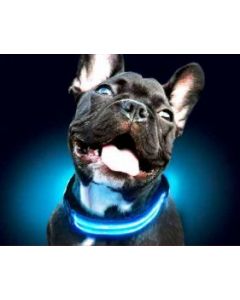 FREEDOG COLLAR LED S AZUL DOS PILAS