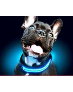 FREEDOG COLLAR LED XS AZUL CON BATERIA