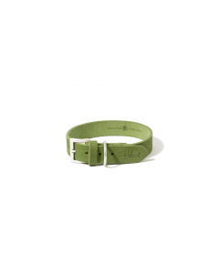 LEO PET FATTED LEATHER COLLAR 40x2 CM GREEN