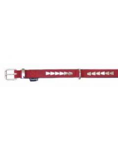 FREEDOG COLLAR ROCK ROJO 2,0X40CM