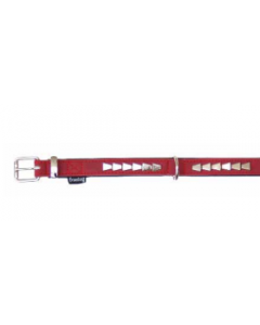 FREEDOG COLLAR ROCK ROJO 2,5X50CM