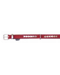 FREEDOG COLLAR ROCK ROJO 2,5X55CM