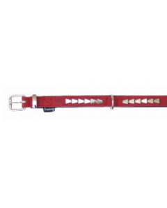 FREEDOG COLLAR ROCK ROJO 2,5X55CM