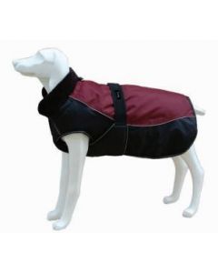 FREEDOG CHAQUETA NORTH POLE MODEL C (GRANATE) 35CM