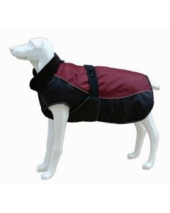 FREEDOG CHAQUETA NORTH POLE MODEL C (GRANATE) 65CM