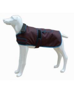 FREEDOG CHAQUETA NORTH POLE MODEL D (GRIS) 30CM