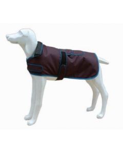 FREEDOG CHAQUETA NORTH POLE MODEL D (GRIS) 35CM